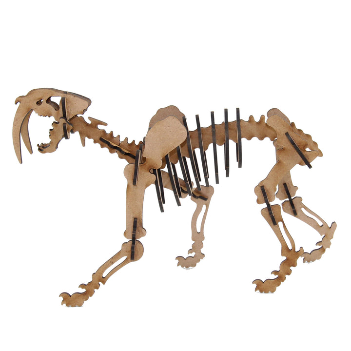 Dinosaur | Saber-Tooth Tiger (DINO_12)