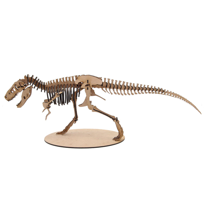 Dinosaur | Tyrannosaurus Rex (T-REX) (DINO_6)