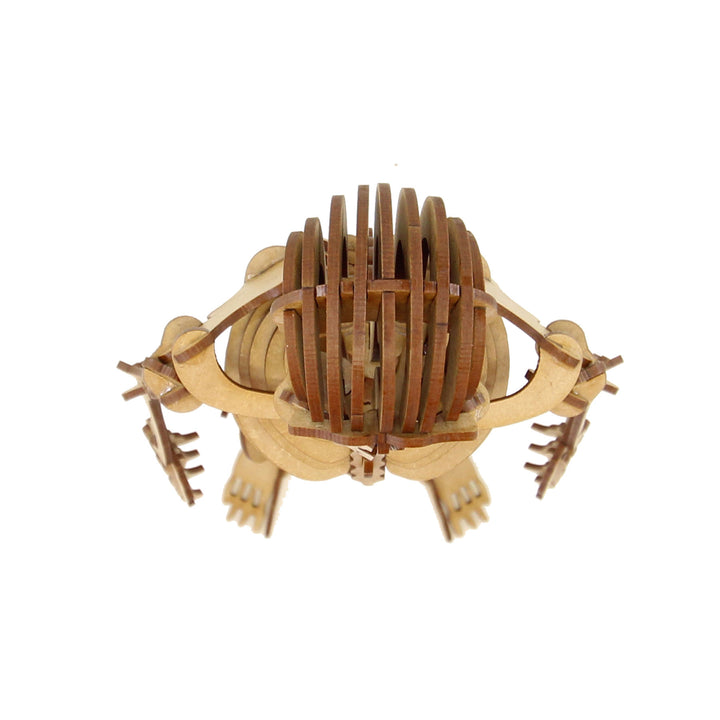 Miscellaneous | Complex Human Skeleton (NS_1)