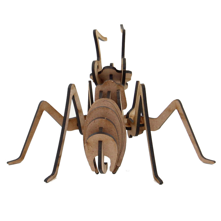 Insect |Ant 3D Wooden Model  (INS_1)