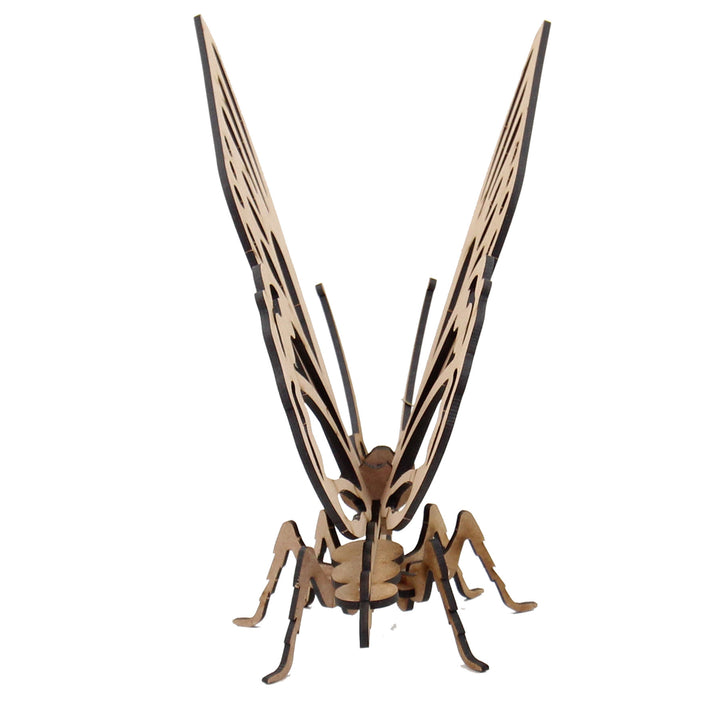 Insect | Exotic Butterfly (INS_19)