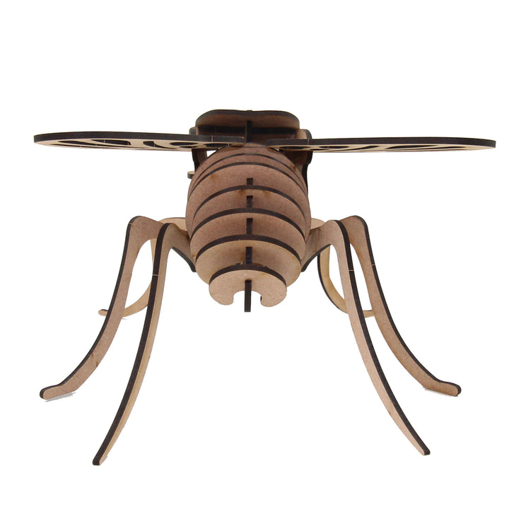 Insect | Fly (INS_5)