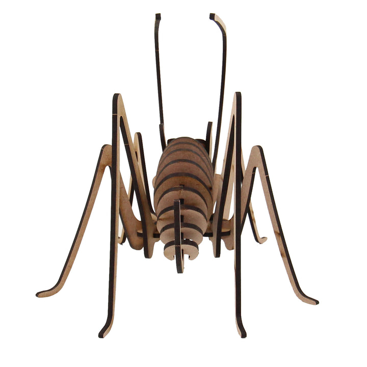 Insect | Locust Large (INS_16)