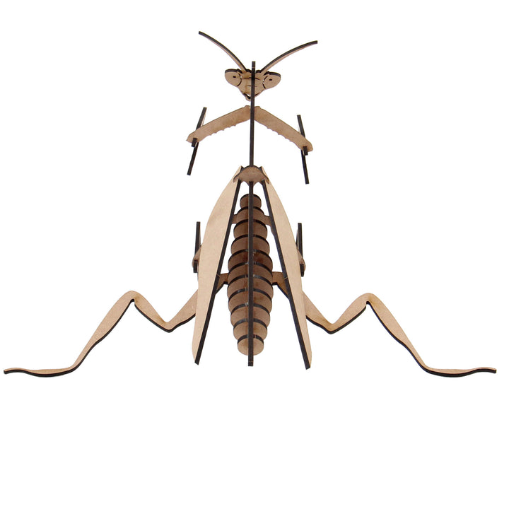 Insect | Praying Mantis (INS_13)