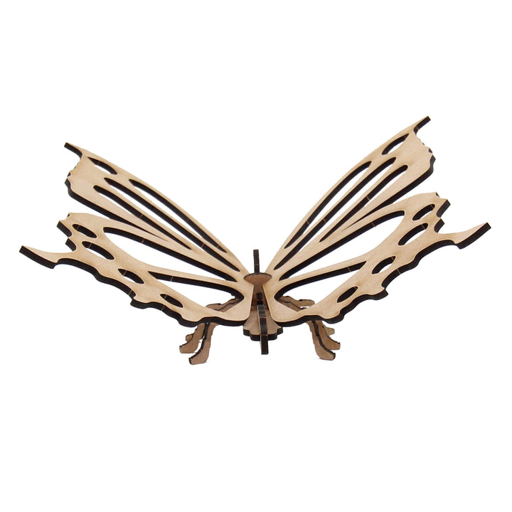 Insect | Pretty Butterfly (INS_11)