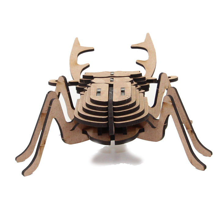 Insect | Stag Beetle (INS_10)