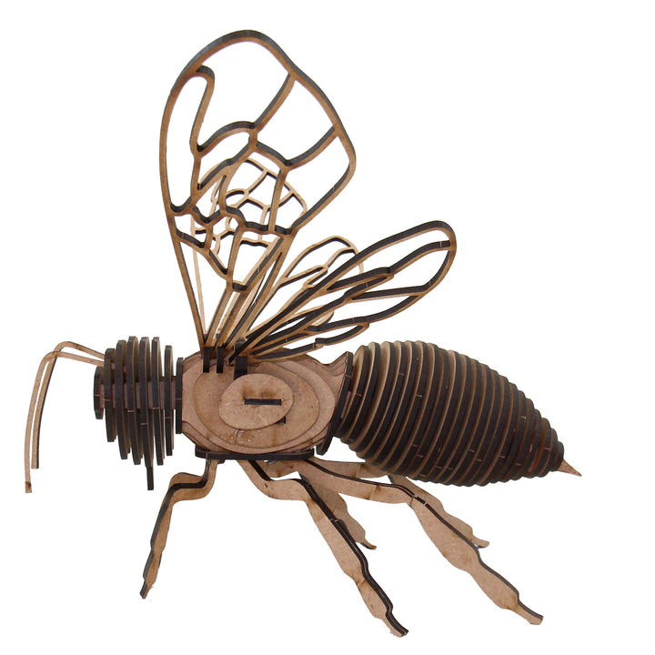 Insect | Western Honey Bee (INS_20)