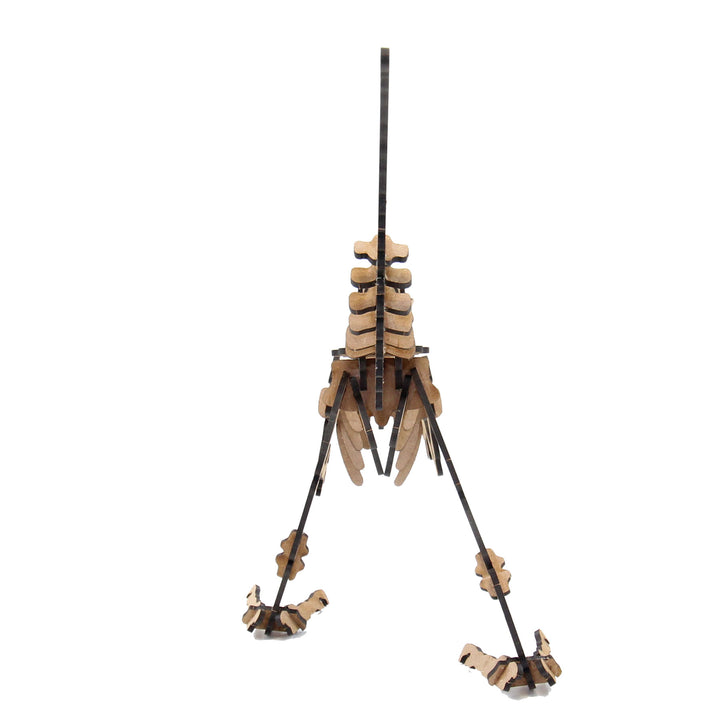Velociraptor Junior 3D Wooden Model (DINO_16)