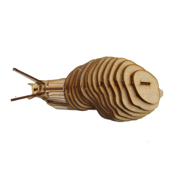 Insect | Garden Snail (INS_15)