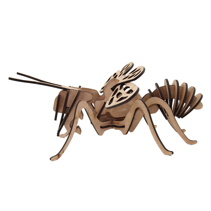 Insect | Honey Bee 3D Wooden Model (INS_2)