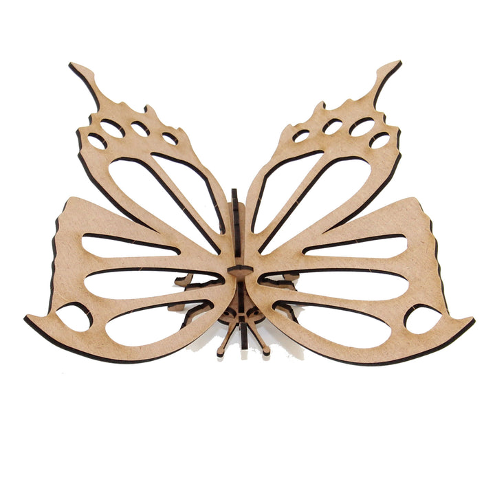 Insect | Pretty Butterfly (INS_11)