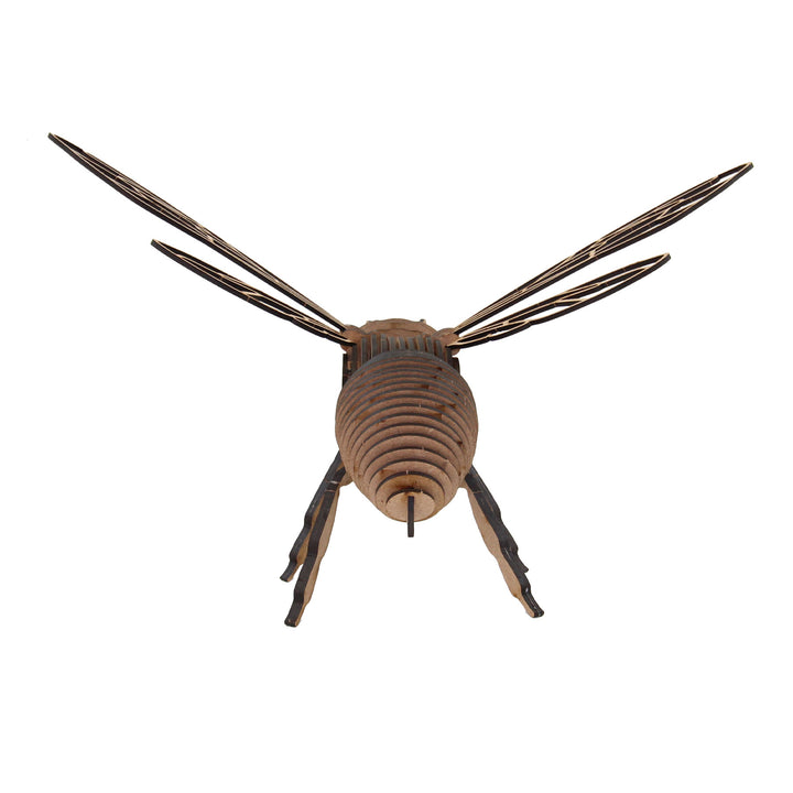 Insect | Western Honey Bee (INS_20)