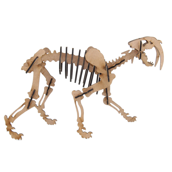Dinosaur | Saber-Tooth Tiger (DINO_12)