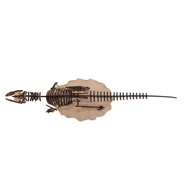 Dinosaur | Allosaurus 3D Wooden Model (DINO_15)