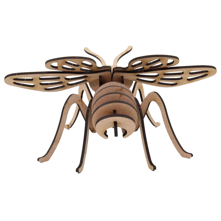 Insect | Honey Bee 3D Wooden Model (INS_2)