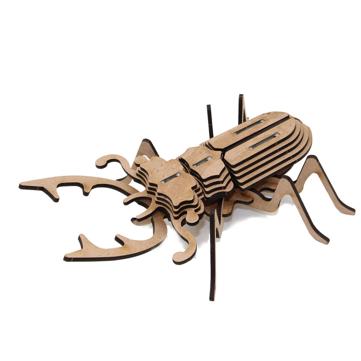 Insect | Stag Beetle (INS_10)