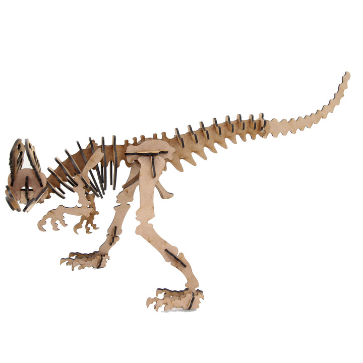 Dinosaur | Allosaurus Junior (DINO_1)