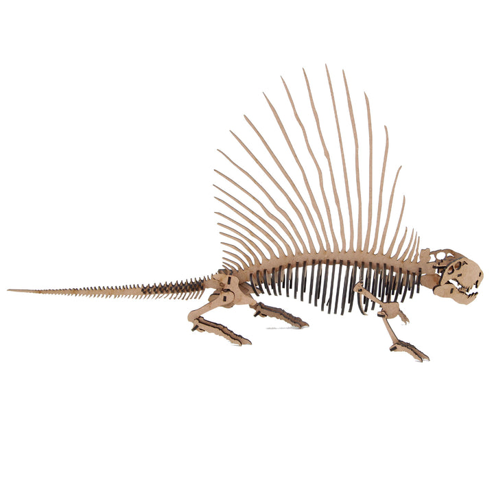 Dinosaur | Dimetrodon (DINO_2)