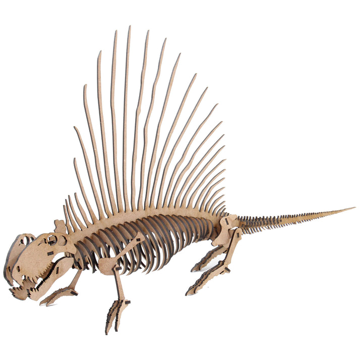 Dinosaur | Dimetrodon (DINO_2)