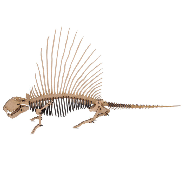 Dinosaur | Dimetrodon (DINO_2)