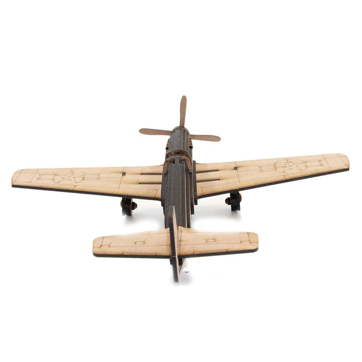Aircraft | Mustang P-51 Plane (AIR_2)