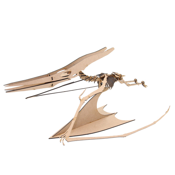 Dinosaur | Pterodactyl (DINO_4)