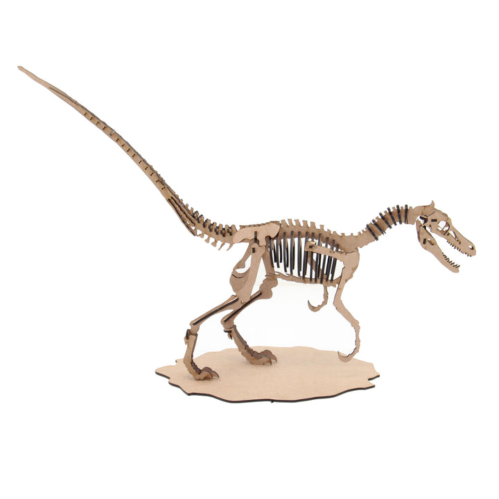 Dinosaur | Velociraptor (DINO_5)