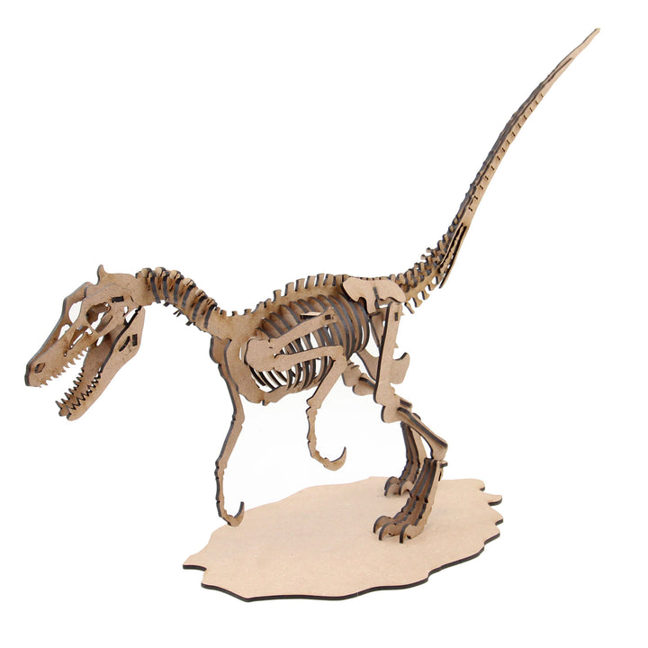 Dinosaur | Velociraptor (DINO_5)