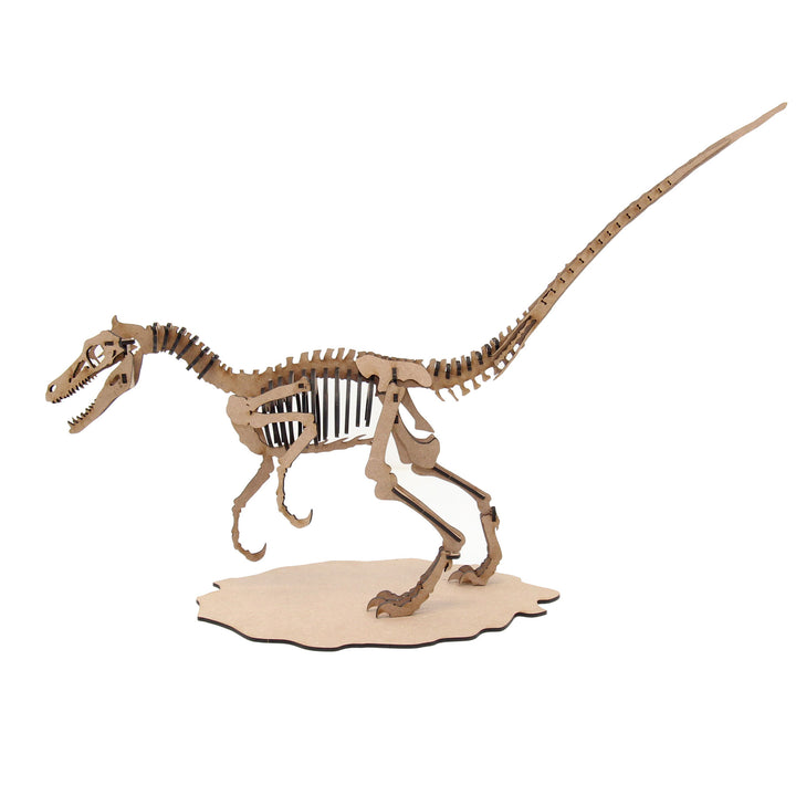 Dinosaur | Velociraptor (DINO_5)