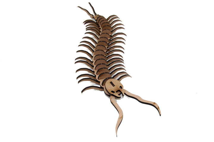 Insect | Centipede (INS_14)