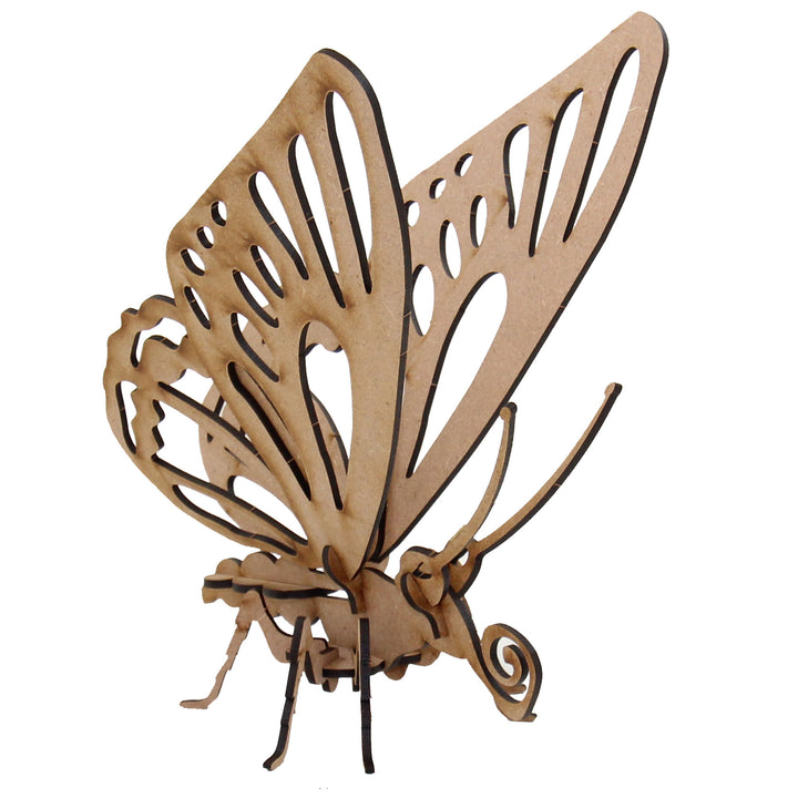 Insect | Exotic Butterfly (INS_19)