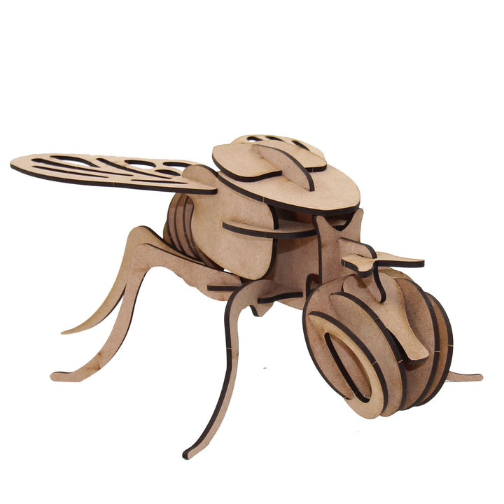 Insect | Fly (INS_5)