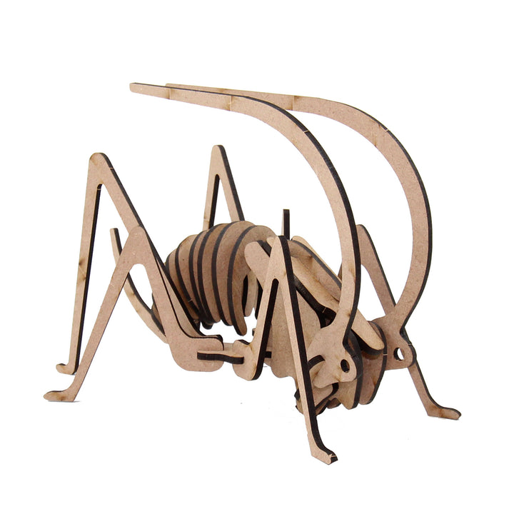 Insect | Grasshopper Small (INS_12)