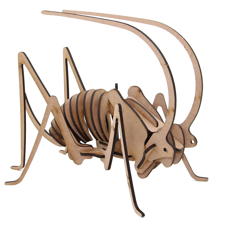 Insect | Locust Large (INS_16)