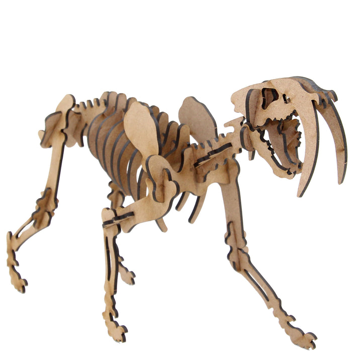 Dinosaur | Saber-Tooth Tiger (DINO_12)