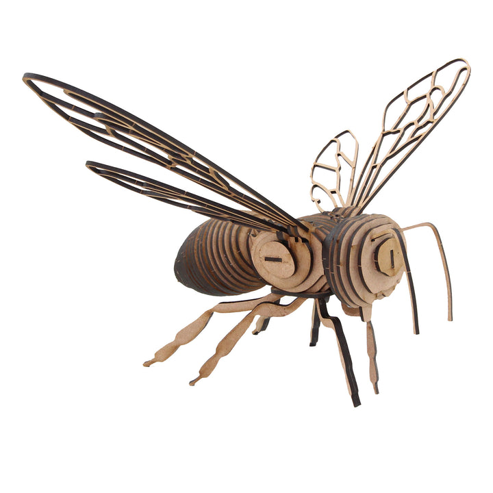 Insect | Western Honey Bee (INS_20)