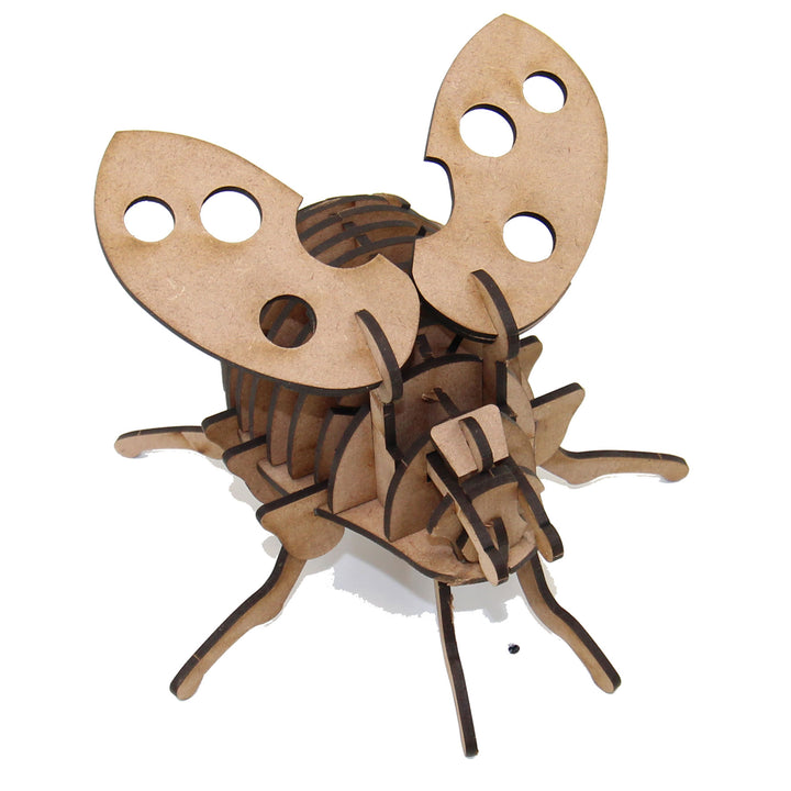 Insect | Lady Bug (INS_17)