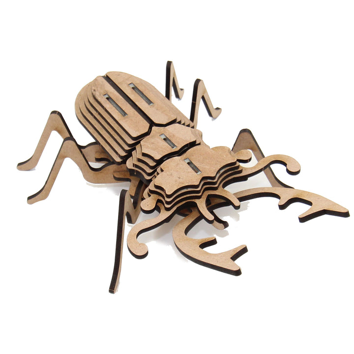 Insect | Stag Beetle (INS_10)