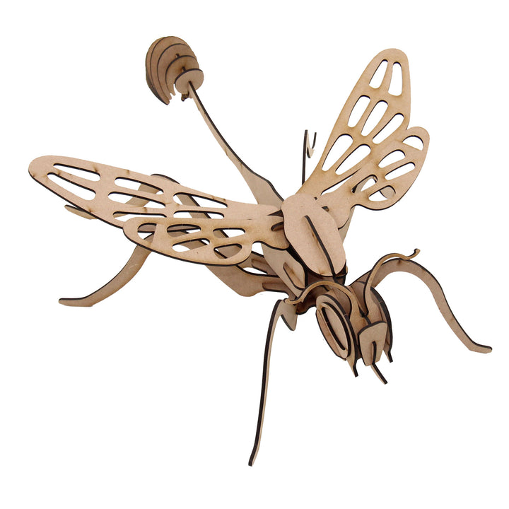 Insect 3D wooden model | Large Wasp