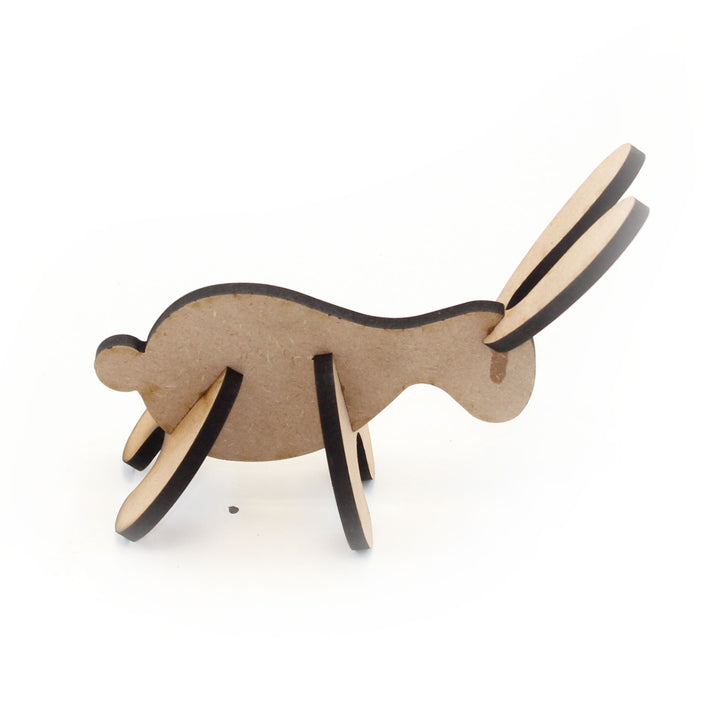 Toddler Toys | Rabbit