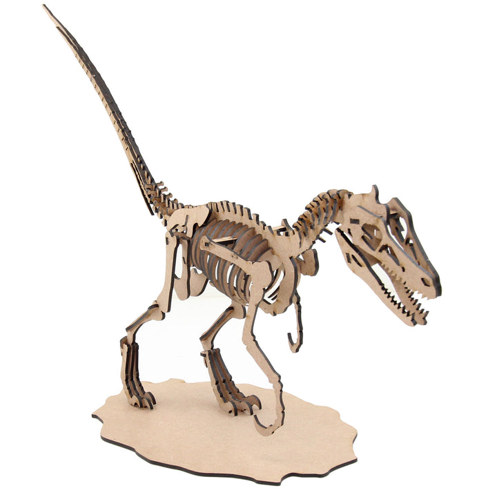 Dinosaur | Velociraptor (DINO_5)